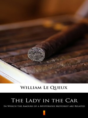 cover image of The Lady in the Car